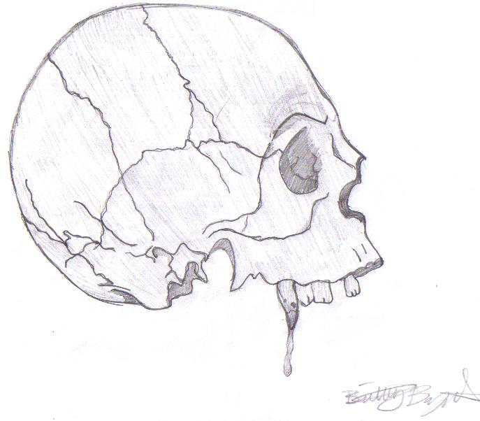 687x602 Vampire Skull By Andromedatheroma