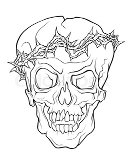 256x320 Contour Silhouette Of The Skull. Vector Illustration. Hand Drawing