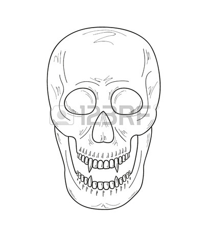 407x450 Skull With Vampire Teeth On White Background, Vector, Sketch