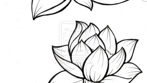 300x170 Vanilla Flower Drawing