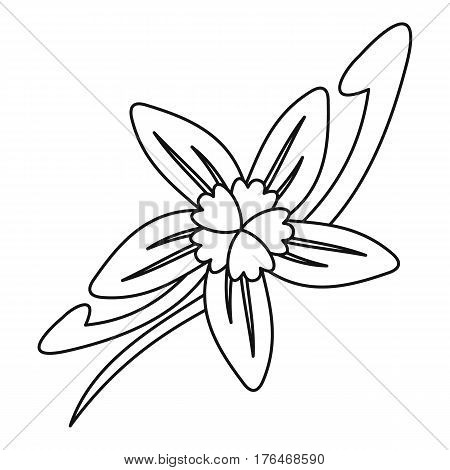 450x470 Vanilla Flower Icon. Outline Vector Amp Photo Bigstock