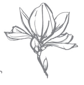 282x284 Carolina Evans