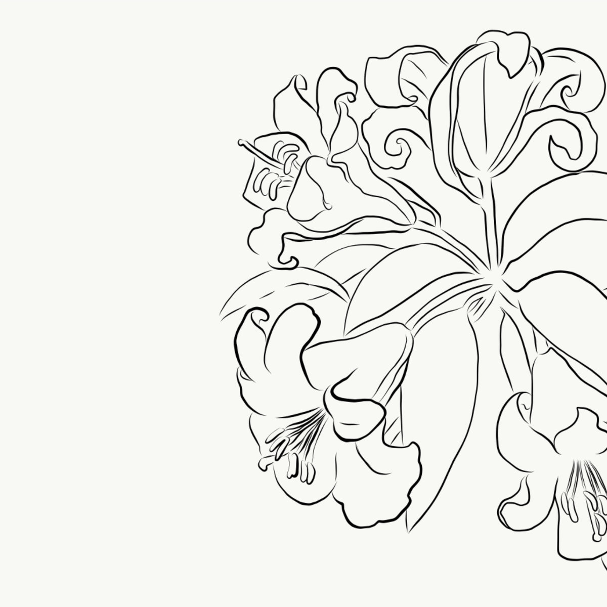 1200x1200 Mocha Amp Vanilla Oatmello