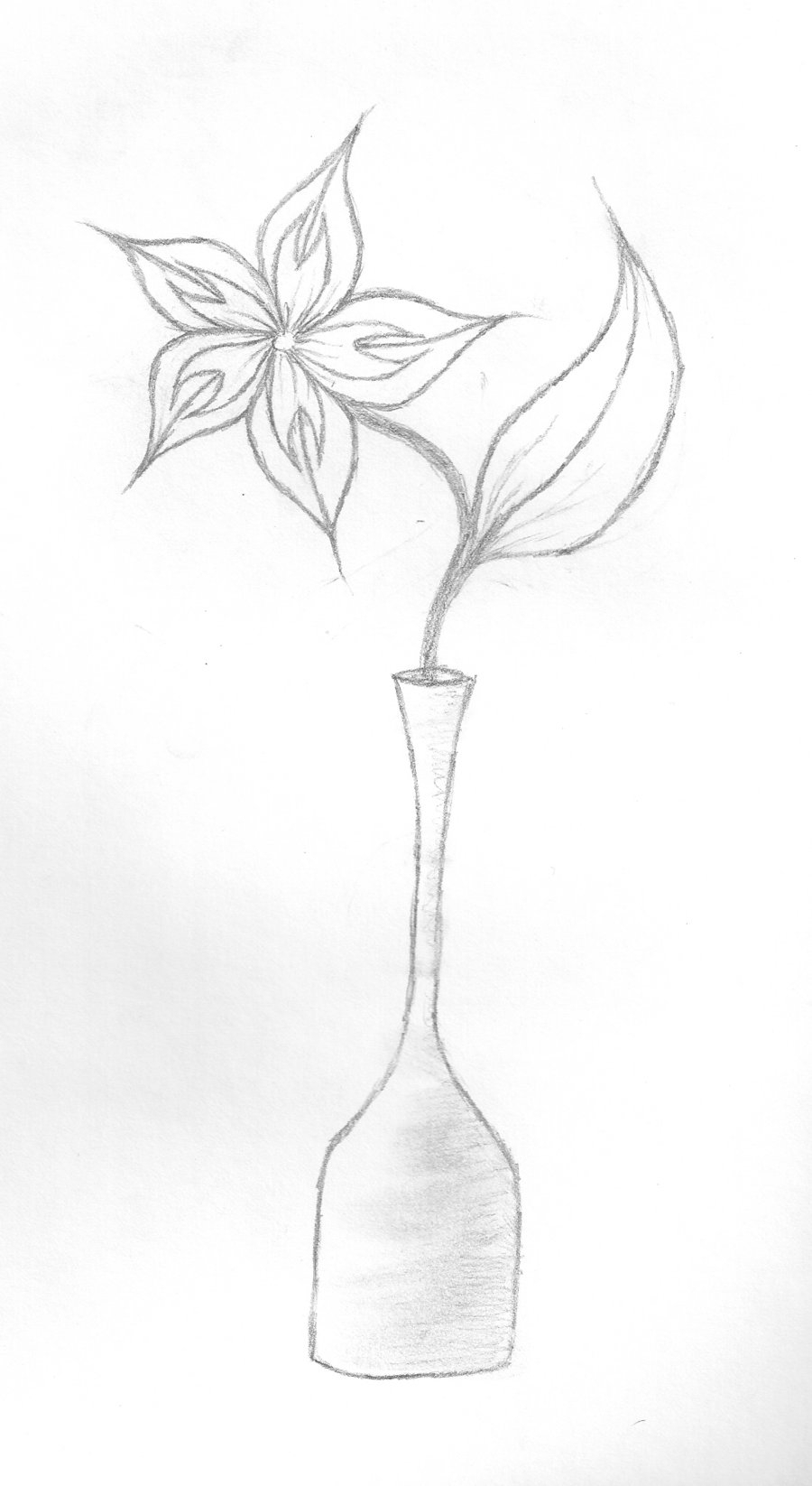 900x1646 Easy Drawings Of Flowers In A Vase Step By Step