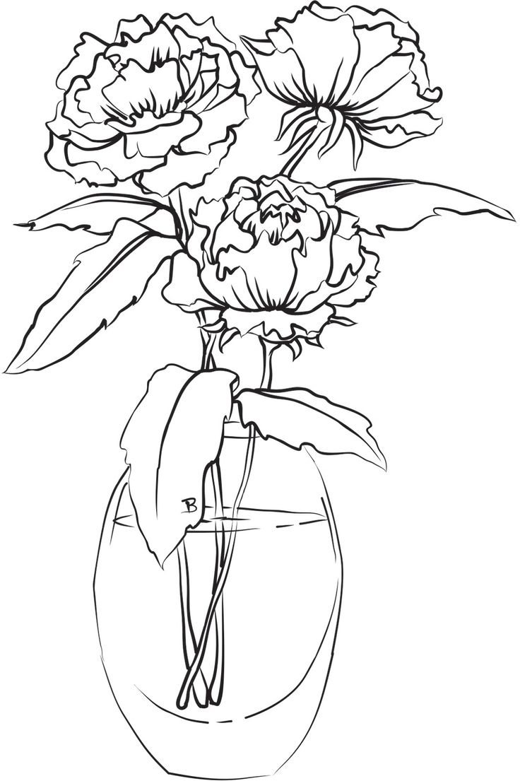 736x1105 Vase Drawing Flower Flowers In A Vase Drawing Roadrunnersae