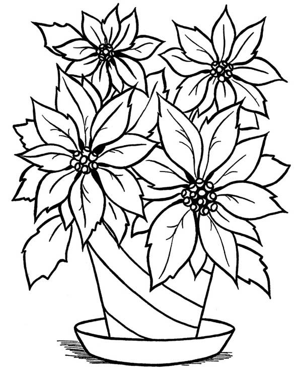 600x734 Drawn Vase Full Flower