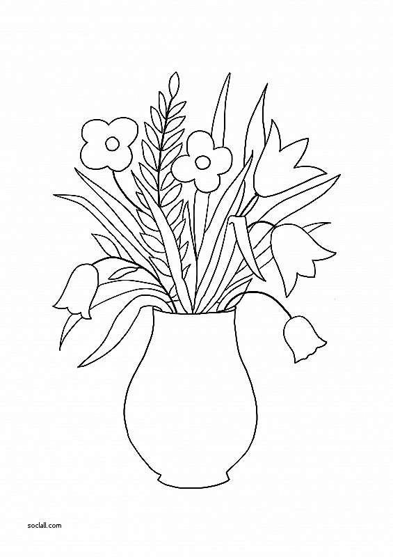 565x800 Fresh Sketch Of Flower Vase