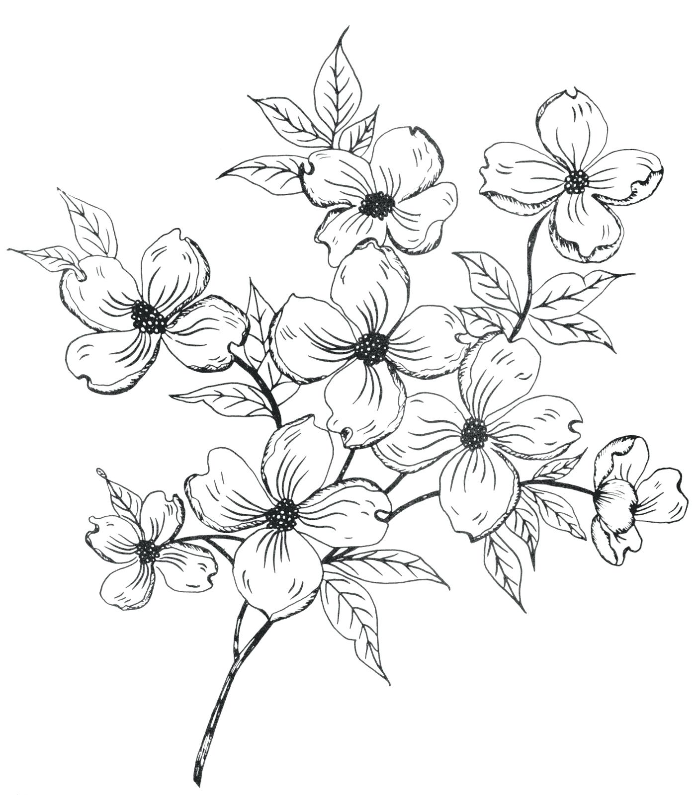 1400x1600 Coloring Pages Wonderful Flower Drawing Outline. Lily Flower