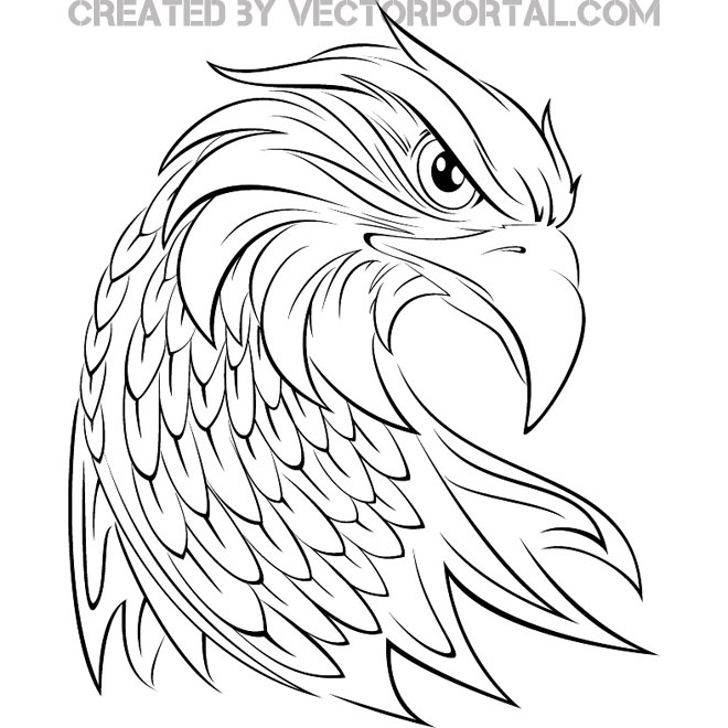 660x660 Eagle Vector Graphics