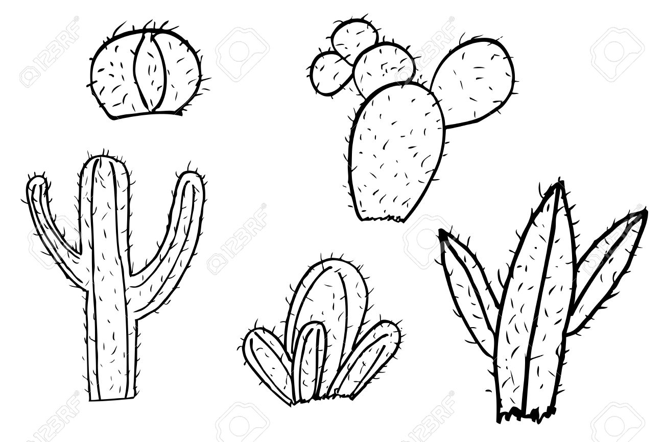 1300x866 Hand Draw Sketch Of Cactus Royalty Free Cliparts, Vectors,