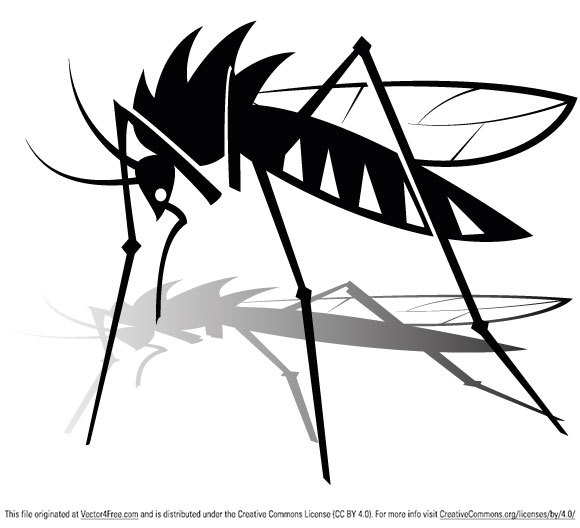 580x528 Free Mosquito Vector Graphics