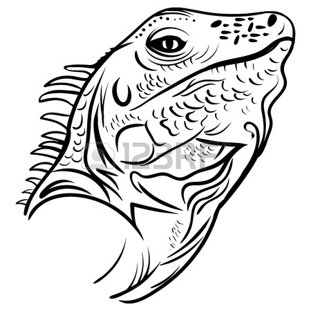 450x450 Iguana Sketch Graphic Design. Royalty Free Cliparts, Vectors,