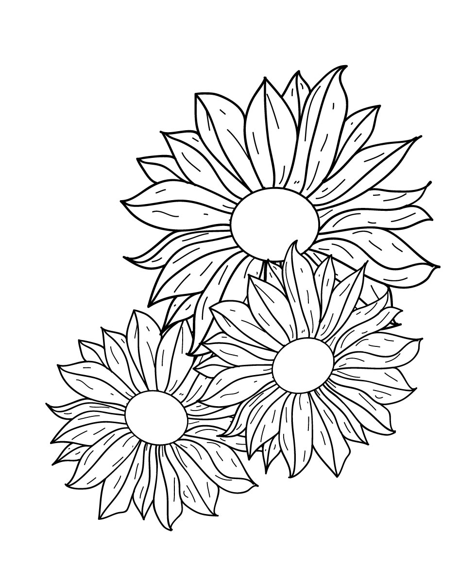 980x1200 Flowers Line Drawing Free Vector 123freevectors