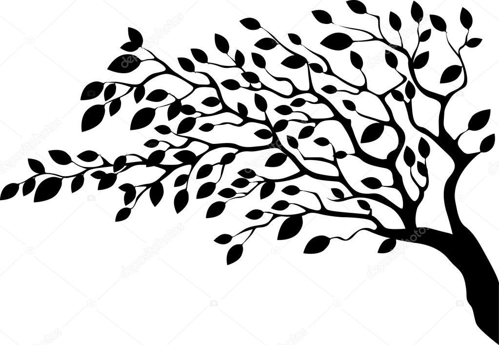 1023x707 Leafy Tree Silhouette On White Background From Side