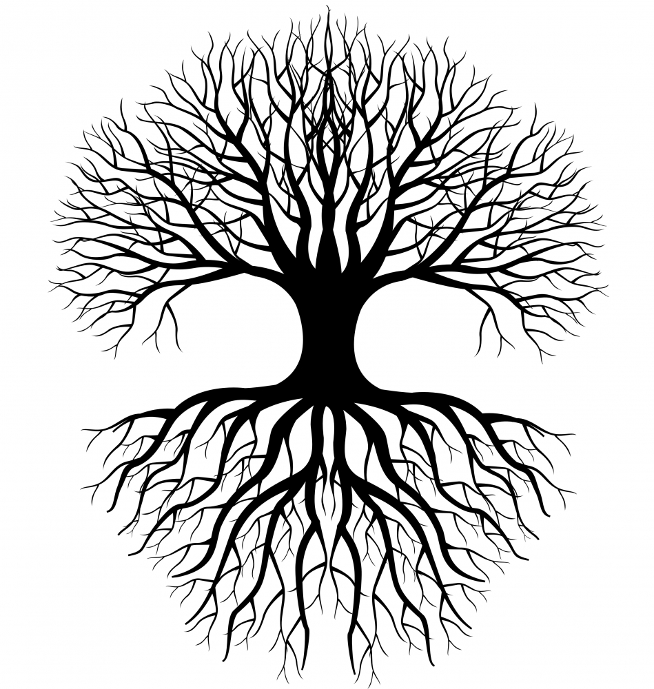 949x1000 Ygiv Logo Design