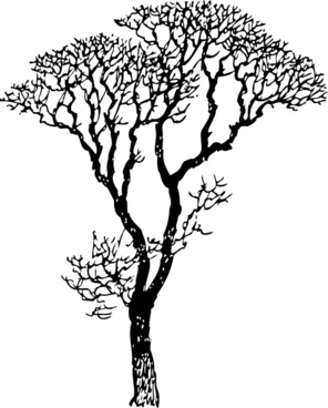 296x368 Bare Tree Drawing Free Vector Download (93,319 Free Vector)