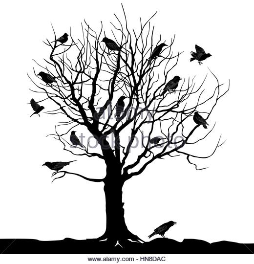 520x540 Dead Tree Stock Vector Images