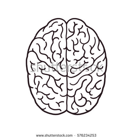 450x470 Pictures Picture Of Brain Drawing,
