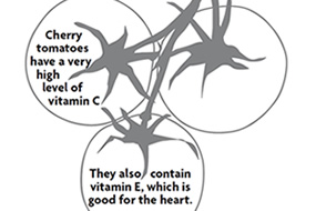 285x190 Fruit And Vegetable Cut Out Shapes To Colour