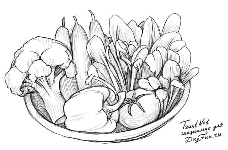 760x500 How To Draw Vegetables Step By Step