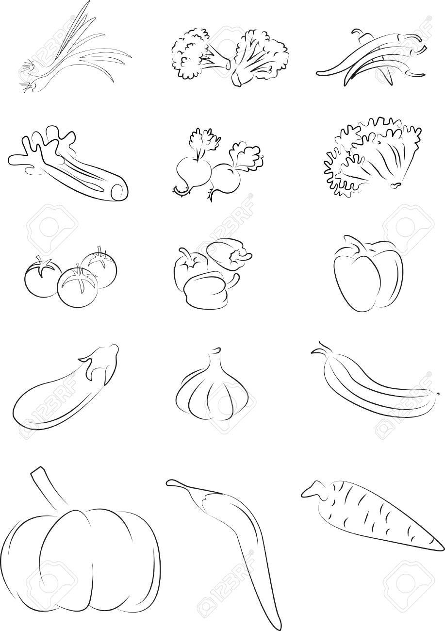917x1300 Set Vegetable Drawing Elements Black And White Royalty Free