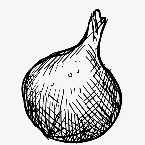 500x500 Pencil Drawing,fruits Vegetables,vegetables,sketch,black