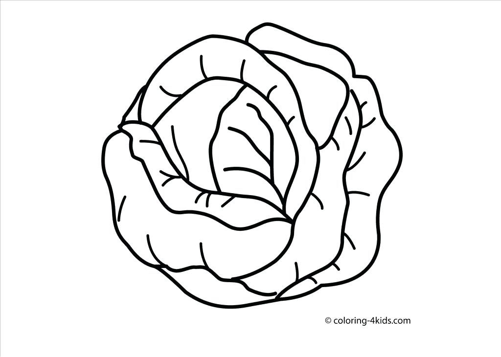 1024x730 Amazing Vegetable Coloring Pages And Vegetables Drawing Pictures