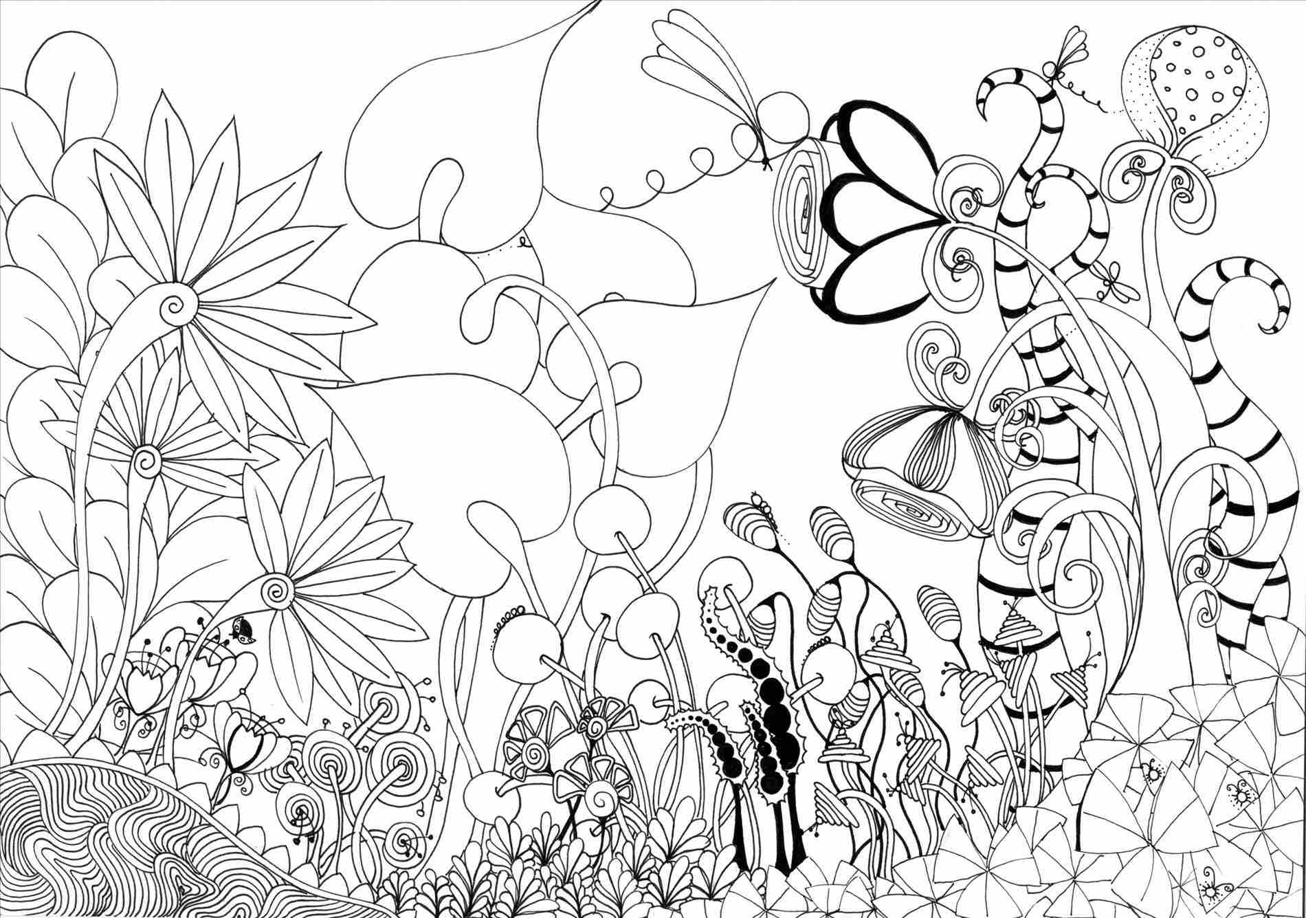 1900x1335 Vegetable Garden Drawing