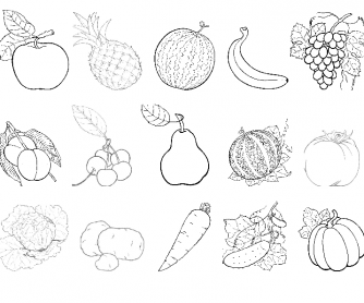 Vegetables And Fruits Drawing at GetDrawings | Free download