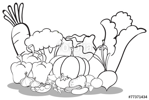 500x335 Vegetable Basket Drawing. Coloring Vegetables Coloring Pages