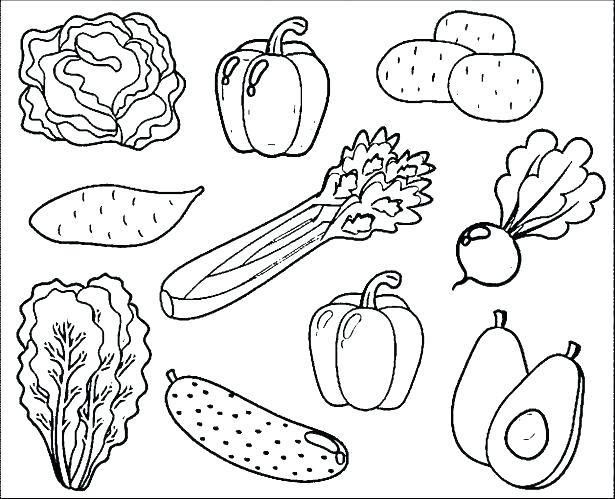 615x499 Vegetables Coloring Info Fruits Vegetables Coloring Book