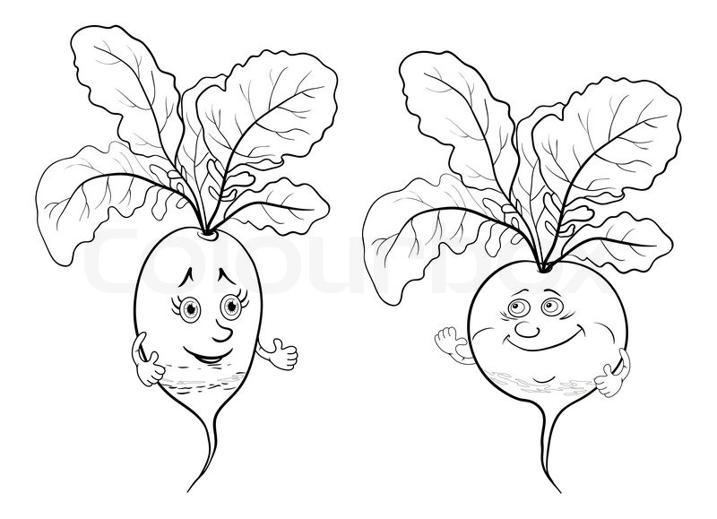 800x579 Cartoon, Vegetables, Two Character Radish, Black Contour On White