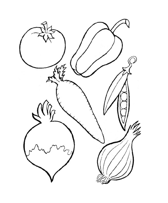 590x711 Six Kinds Of Perfect Vegetables Coloring Page For Kids Kids