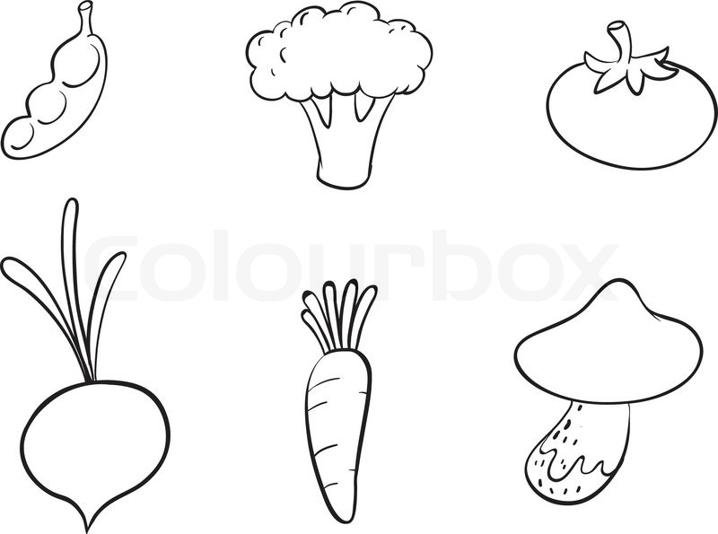 800x595 Sketches Of Vegetables Stock Vector Colourbox