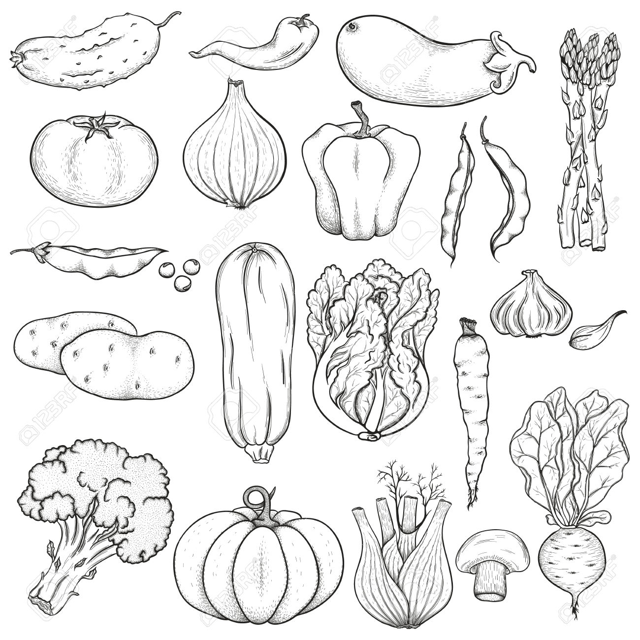 1300x1300 Clipart Vegetables Black And White
