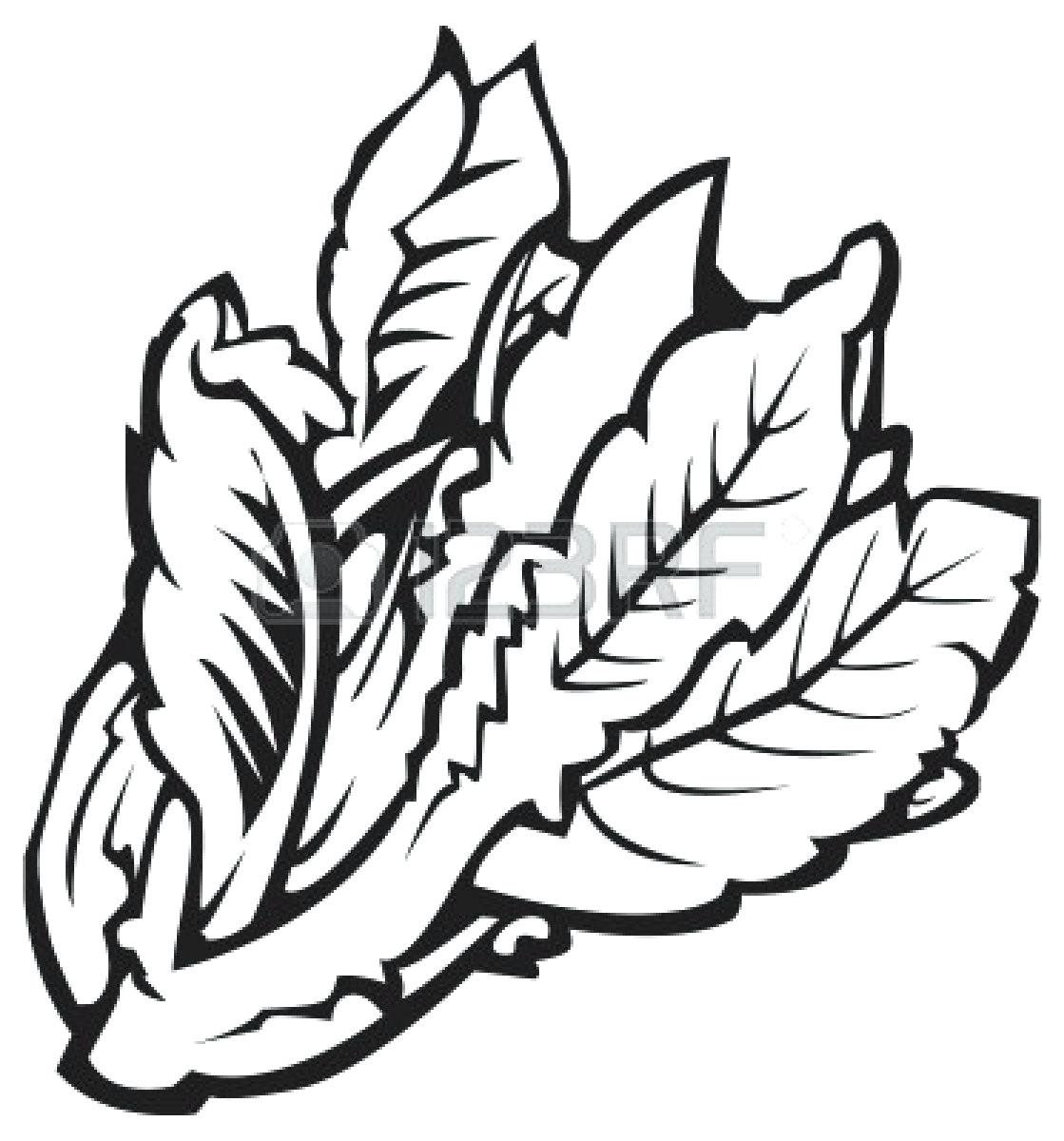 1119x1200 Coloring Coloring Fruits And Vegetables Line Drawing 7. Coloring