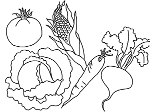 300x225 And Vegetables Drawing For Kids