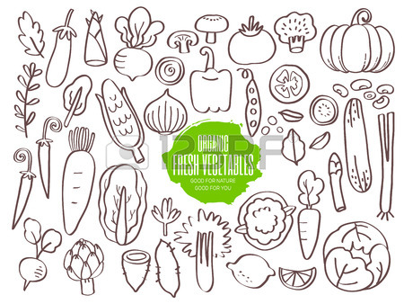450x338 Set Of Hand Drawn Vegetables Doodles Royalty Free Cliparts