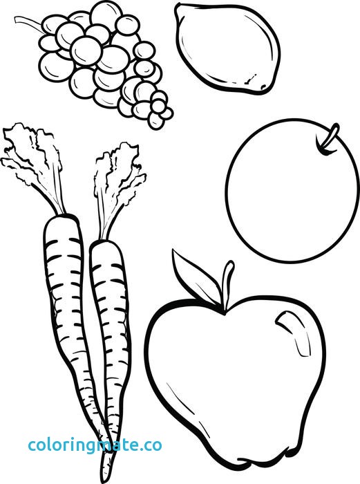 521x700 Vegetable Coloring Pages Awesome Vegetables Line Drawing Clipart