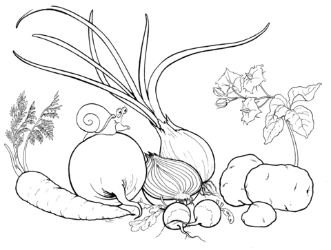 480x363 Vegetables Coloring Pages Free Coloring Pages