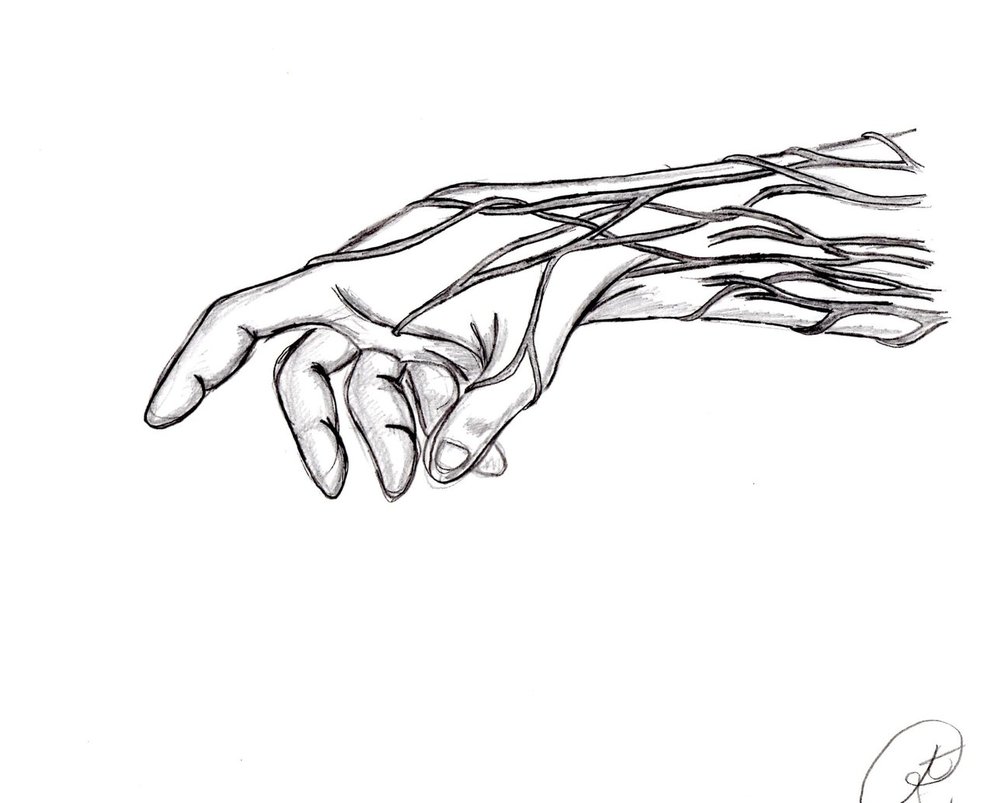 994x803 Hand With Veins By Rangoonmoon