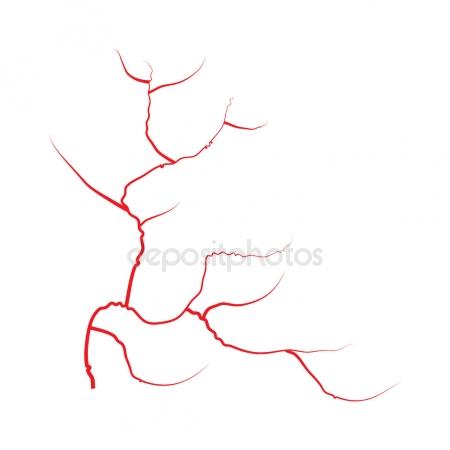 450x450 Human Blood Veins Vector. Blood Arteries Isolated On White. Set