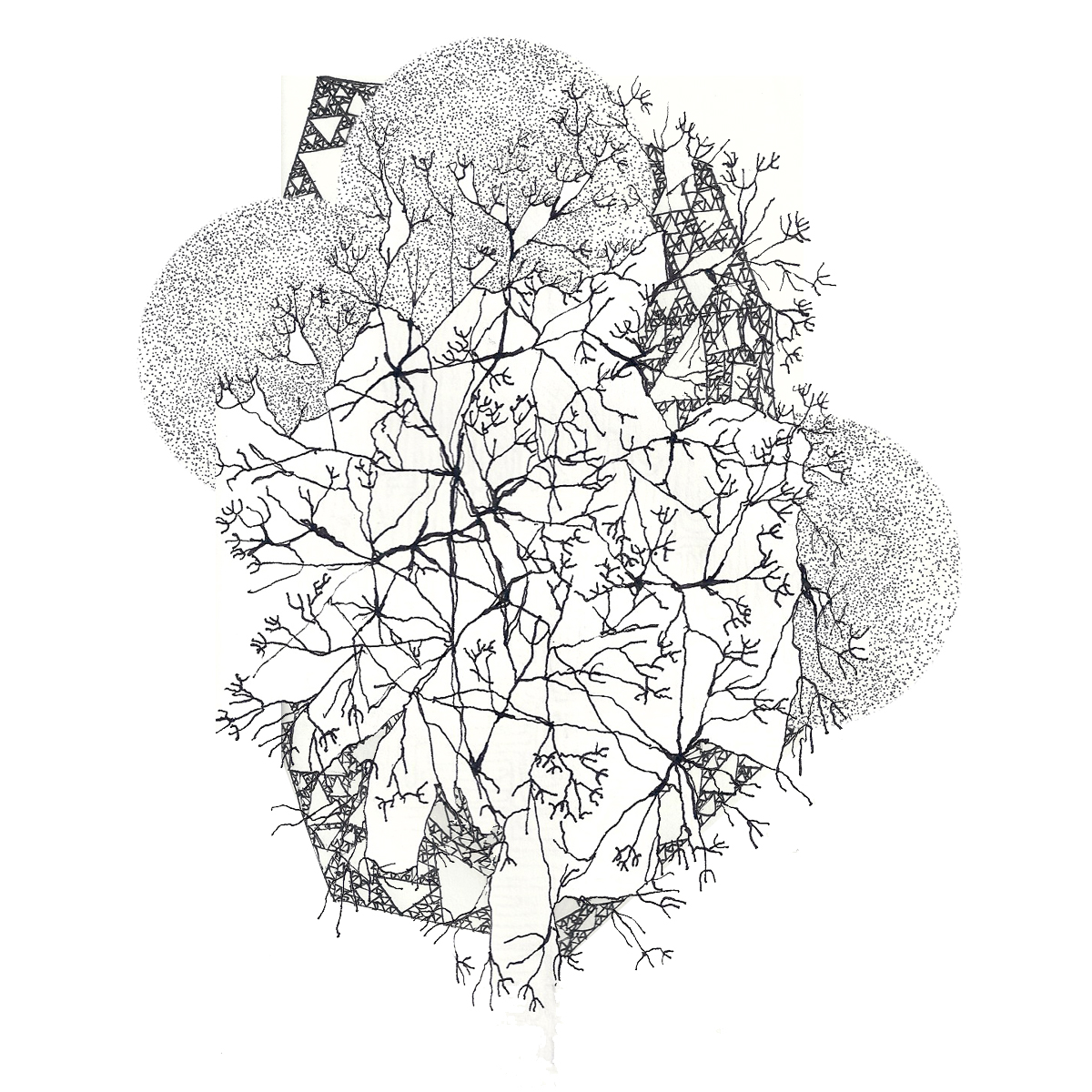1200x1200 New Line Drawings Percolation, Veins, Fractals Richelle Gribble