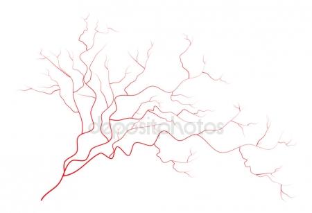 450x307 Veins Stock Vectors, Royalty Free Veins Illustrations