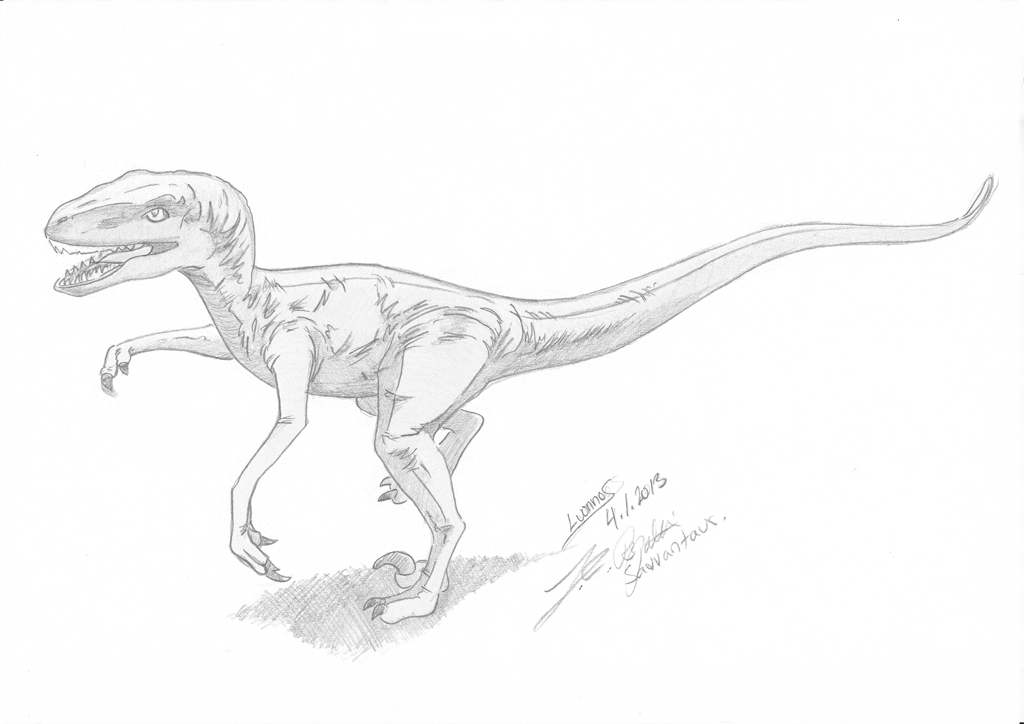 Velociraptor Drawing at GetDrawings | Free download