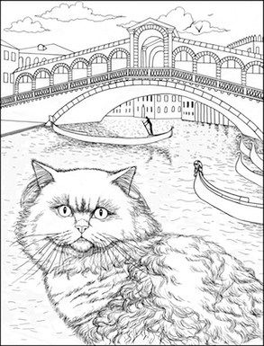 293x385 8 Best Cats In Venice By Stefania Miro Images