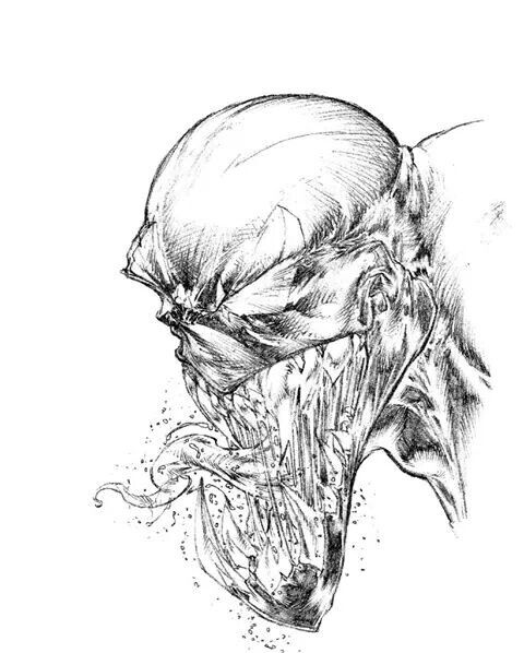 480x598 Medina Inspiracje Venom, Comic And Spiderman