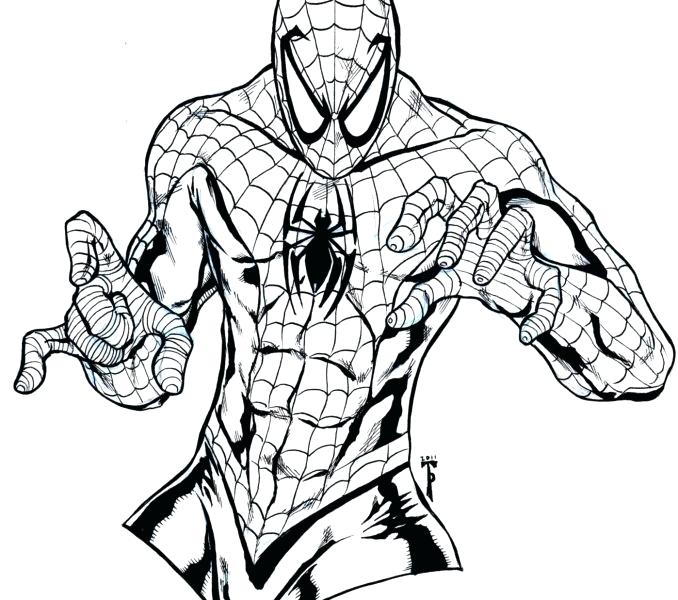678x600 Elegant Spiderman Vs Venom Coloring Pages Image