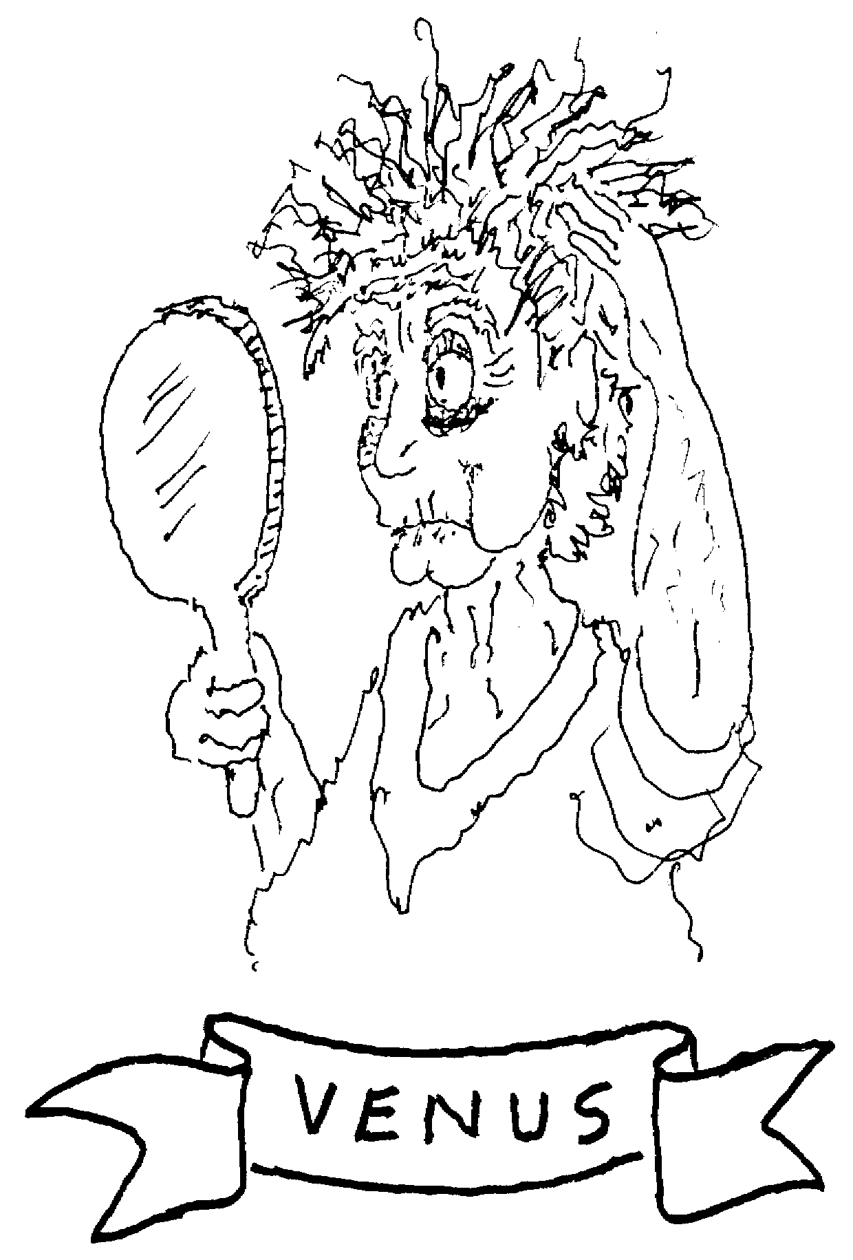 1240x1831 Venus Gsopera