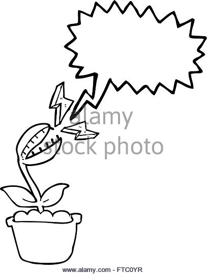 407x540 Venus Fly Trap Flower Cut Out Stock Images Amp Pictures